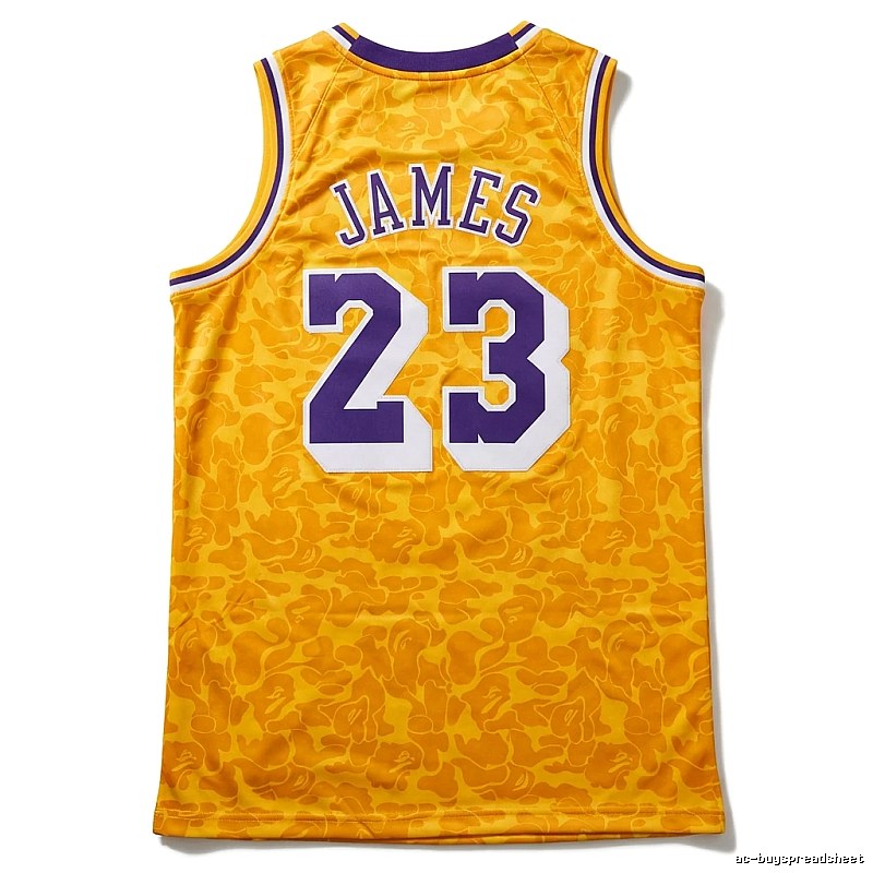 LBJ No. 23 camouflage-style jersey